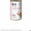 Brit Veterinary Diets GF dog Hypoallergenic 400 g konzerva