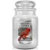 Country Candle First Fallen Snow 680 g