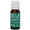 Tierra Verde Esenciálny olej BIO Rozmarín 10 ml