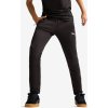 PUMA EVOSTRIPE Pants DK S