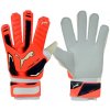 Puma Evo Power Grip 2 Aqua 41145 30 Goalkeeper gloves (47653) 11