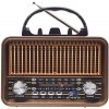 Tracer Rádio FM rádio RTX200