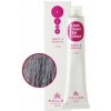 Kallos Cosmetics Kft. Kallos Cream Hair Colour 9.11 farba na vlasy 100ml