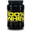 100% Whey Professional Protein Best Nutrition 1kg