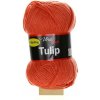 Tulip korálová 4405