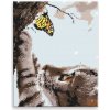 Diamantové maľovanie - Mačka s motýľom - 40x50 cm, plátno vypnuté na rám - výroba CZ