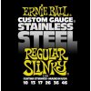 Ernie Ball 2246 Stainless Steel Regular Slinky
