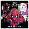 Spider-Man, 30 x 30 cm 2026