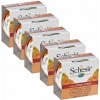 Schesir Dog Adult kuracie filety s papájou 5 x 150 g
