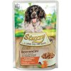 Agras Delic Stuzzy Dog Chunks - Morcacie s mrkvou v šťave 100g