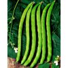 Bio fazuľa Neckarkönigin - Phaseolus vulgaris - predaj bio semien - 15 ks
