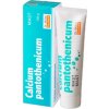 DR. MÜLLER Calcium pantothenicum masť 100 g