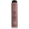Lakmé Teknia Color Stay Shampoo 300 ml šampón Farbené vlasy unisex