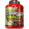 Amix CarboJet Mass 3000 g
