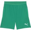 Pánske športové šortky Puma, TEAMCUP SHORTS Zelená,Biela M