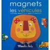 Magnetická hra dopravní prostředky - Moulin Roty