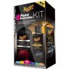 Meguiar's Paint Restoration Kit
