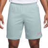 Nike Academy 25