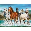CASTORLAND Puzzle Volanie prírody 2000 dielikov