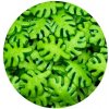 Posyp listy palmy 40 g