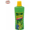 Forestina Kapka tekuté hnojivo na Vinič 500 ml
