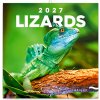 Ještěři 2027 - nástěnný kalendář