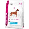 Eukanuba Daily Care Sensitive Joints 12,5 kg