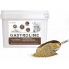 DROMY GASTROLINE CONCENTRATE 3 kg