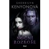 Noční rozkoše - 2. vydání - Sherrilyn Kenyonová