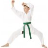 Tokaido KA kimono Shoshin
