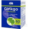 GS Ginkgo 60mg s horčíkom 90 tabliet