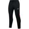 Nike Dri-FIT Academy Pro