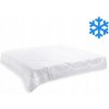 Koc Brotex Thermo 200 x 200 cm celoročný 1600 g (400 g/m2)