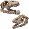 Happet Lebka dinosaura 17 cm