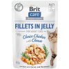 Brit Care Cat Fillets in Jelly Choice Chicken with Cheese 24 x 85 g