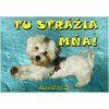 Pozorpes.sk, výstražná tabuľka (Maltézsky psík)