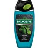 Palmolive sprchový gel 3v1 pre mužov Sport 250 ml
