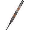 Target - darts Šípky Raymond van Barneveld - Black Edition - 18g