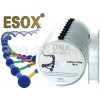 ESOX DNA INVISIBLE 100 m 0,28 mm