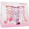 Dermacol Flower Power : sprchový krém Magnolia Flower 200 ml + sprchový krém Lilac Flower 200 ml + sprchový krém Rose Flower 200 ml pro ženy