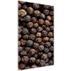 Vertikálny foto obraz akryl do obývačky Zrnká korenia 50x100 cm