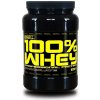 100% Whey Professional Protein - Best Nutrition 1000 g - Čokoláda