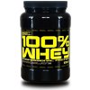 100% Whey Professional Protein - Best Nutrition 1000 g - Pistácia