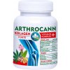 ANNABIS Arthrocann kolagén vitamín komplex 60 tabliet