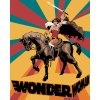 ZUTY Maľovanie podľa čísel - WONDER WOMAN NA KONI PLAGÁT Rámovanie: vypnuté plátno na rám, Rozmer: 40x50 cm