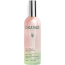 Caudalie Eau De Beauté skrášľujúci elixír pre žiarivý vzhľad pleti Beauty Elixir 30 ml