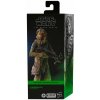 Hasbro Star Wars Návrat Jediho figúrka Chewbacca 15cm