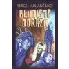 Bludiště odrazů