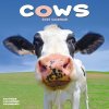 Cows, 30,5 x 30,5 30,5 x 61 cm 2026