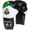 Boxerské rukavice B-2v6 DBX Bushido 10oz.